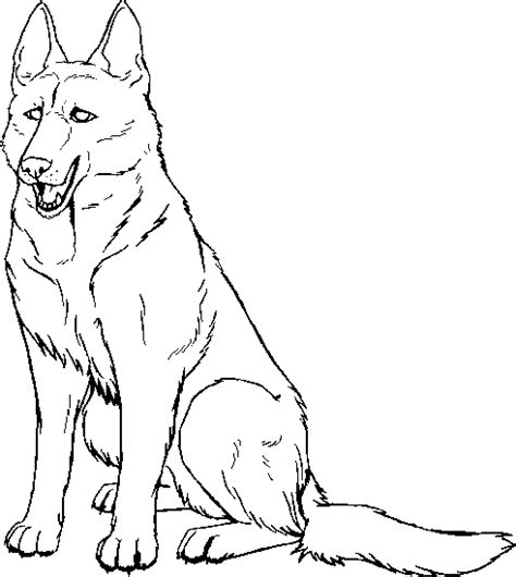 Coloriage Chien Berger Allemand Coloriage Eu Org