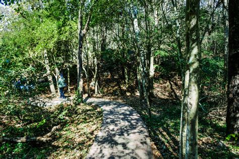 Pai Hot Springs Mae Hong Son Thailand Free Stock Photo Public Domain Pictures