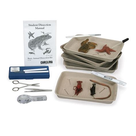 Basic Animal Dissection Kit | Carolina Biological Supply