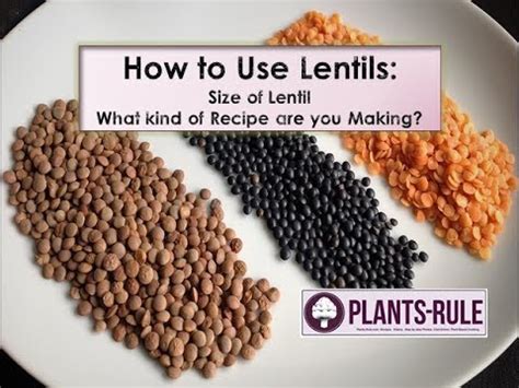 How To Cook Lentils Whole Vs Split Why Size Matters YouTube