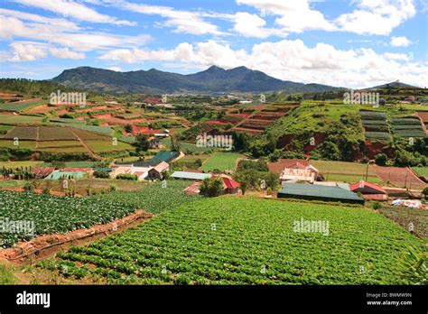 Vietnam Landscape Of Farm Fields In Dalat Highlands Asia Stock Photo