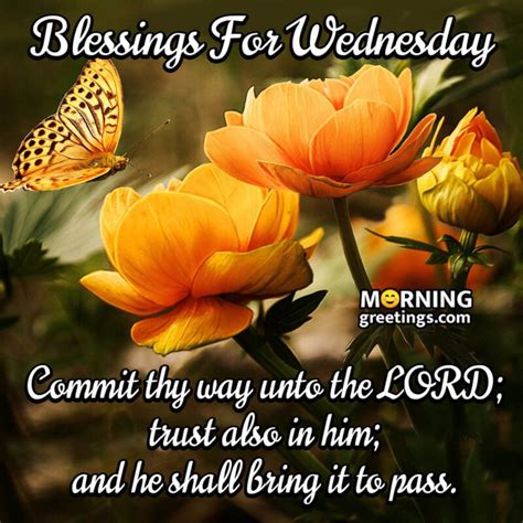 30 Amazing Wednesday Morning Blessings Morning Greetings Morning