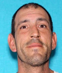 Robert James Lessard Sex Offender In Ludington MI MI D C Baa E Ffa B