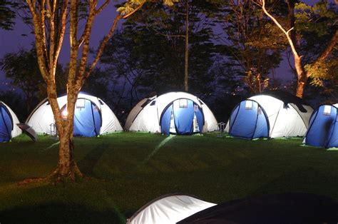 cAMP图册_360百科