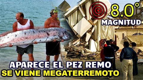 Encuentran El Pez Remo Se Avecina Un Mega Terremoto De Magnitud