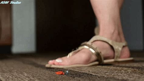 Miss Coco Unaware Sandal Crush MOV Amateur Soles Giantess And Footjobs Clips4sale