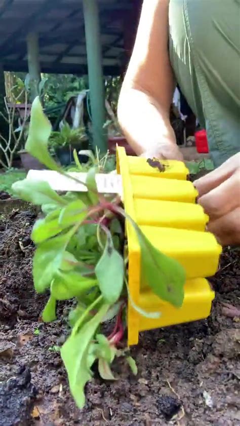 3 09 Nip Arna Baartz Nude Video On YouTube Nudeleted