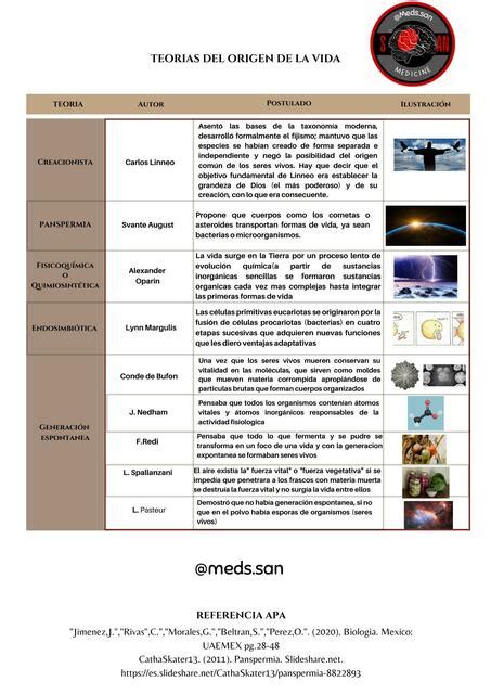 Teorías Del Origen De La Vida Medsan Udocz