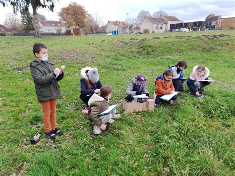 Les Habitants De La Mare Les Chos Liers De Reugny