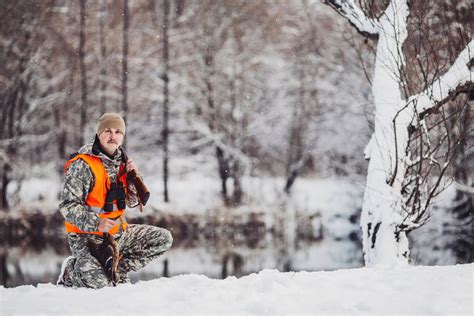 Squirrel Hunting Tips Every Beginner Should Know About