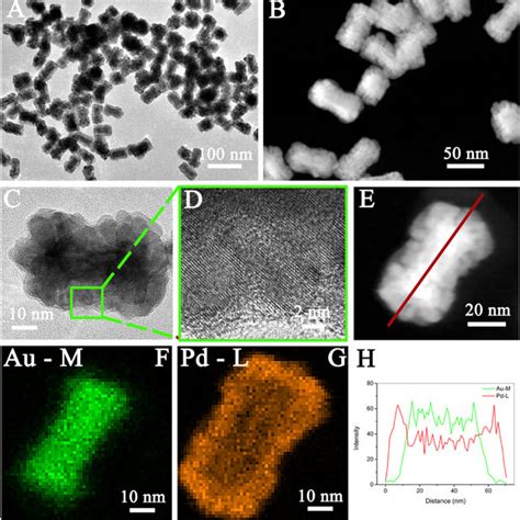 The Morphology And Structure Of The Au Pd Coreshell Porous