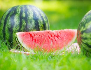 Средства защиты растений, семена, удобрения цена, купить - Агротехник ...