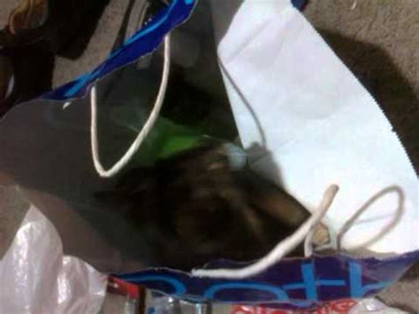 My Black Pussy YouTube