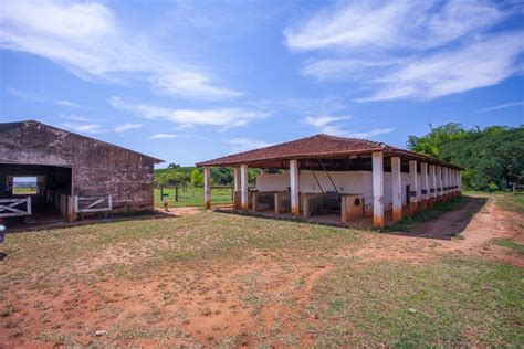 Fazenda S Tio Na Rea Rural Sn Area Rural De Amparo Em Amparo Por R