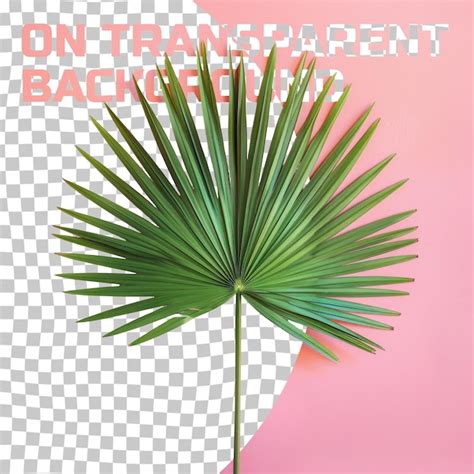 Premium PSD | A palm tree with a pink background with a pink background ...