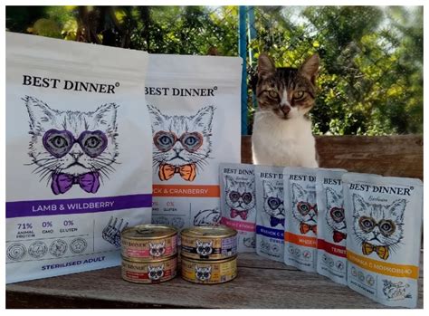 Best Dinner (Бест Диннер) корм для кошек: отзывы, влажный, сухой, для ...