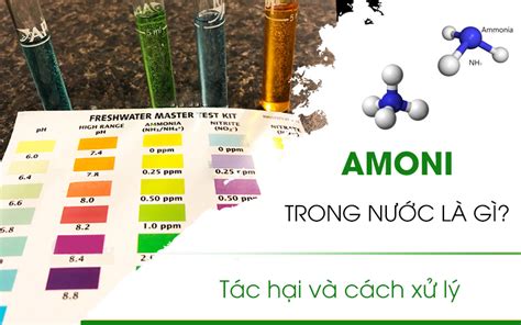 amoni trong nuoc la gi tac hai cua amoni doi voi nguon nuoc
