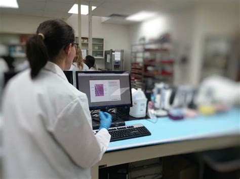 image analysis services premier laboratory