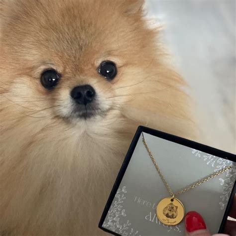 Custom Pet Photo Necklace – Always Buddies