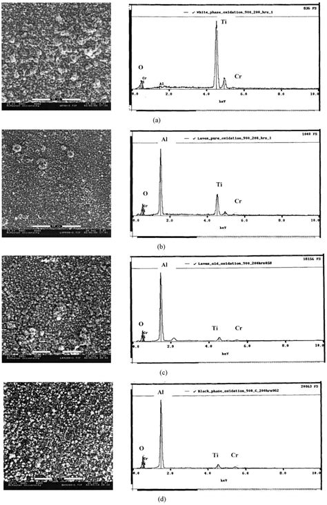 The SEM Micrographs And Associated EDX Spectra Show That The Highest