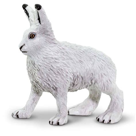 Arctic Hare Wild Safari Figure Kids Toys | Radar Toys