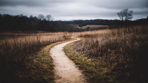 winding path stock  images  backgrounds