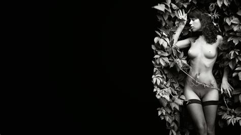 Nude Art Wallpappers