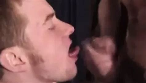 Dickdrainer Porn Videos Gay XXX 2024 XHamster