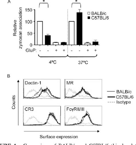 Pdf Expression Of Functionally Different Dectin Isoforms By Murine