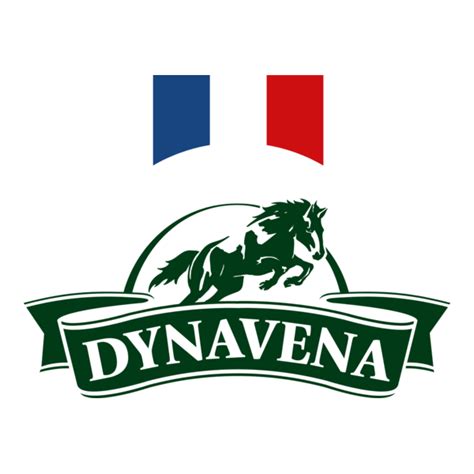 Dynavena Logo PNG Vector (PDF, SVG) Free Download