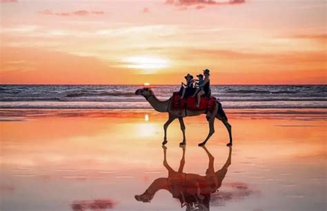 How Many Beaches In Australia Are There A Backpackers World