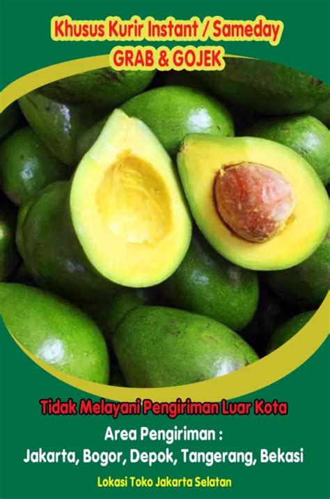 ALPUKAT MENTEGA LAMPUNG MEDIUM 1 KG Lazada Indonesia