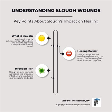 Slough Wound: Top 5 Powerful Healing Strategies 2024