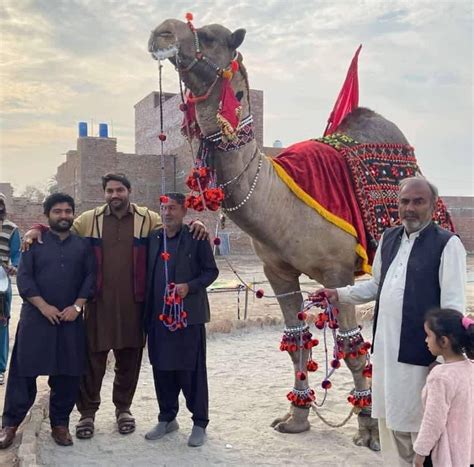 rstm pakstan aon blbl pngab malk oyra dado khan mzary malk srdar gosho