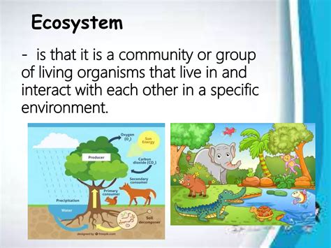 Roles of Organisms in the Ecosystem | PPTX