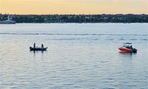 Bay And Estuary Fishery Reforms Essential Vrfish