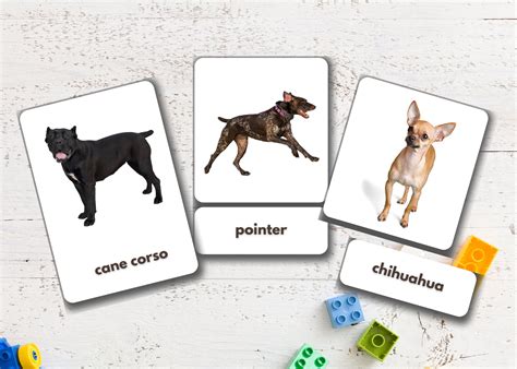 Dog Flashcards Printable - Printable Word Searches