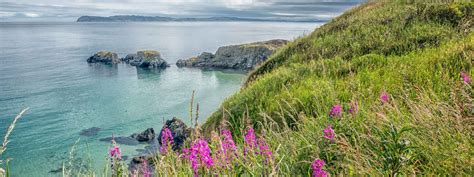 Coasts & Islands of Ireland - Wilderness Ireland