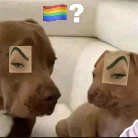 Dogs 🌈 🏳️‍🌈 Pride Flag Question Mark Know Your Meme