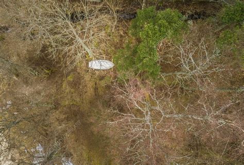 Aerial View Of Abstract Coastline Estonia Stock Image F0395022