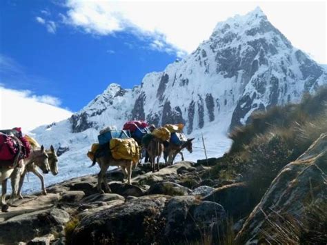 Trek Cordillera Blanca Santa Cruz Escalada Nevado Mateo Peru