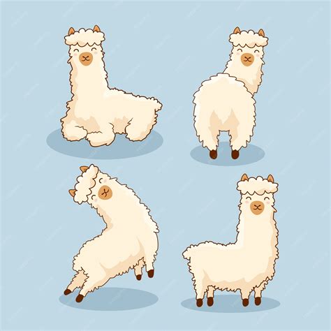 premium vector alpaca cartoon llama set