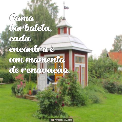 Seja Como A Borboleta Frases
