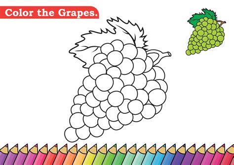 coloring page  grapes vector illustration kindergarten children