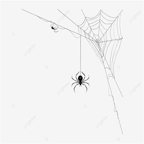 Hand Drawn Cartoon Spider Png Element Cartoon Drawing Spider Drawing