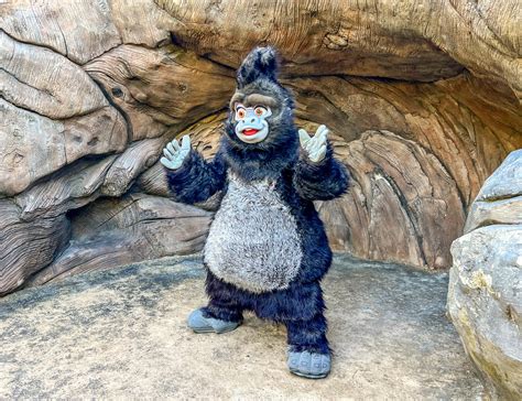 Terk from Tarzan has Been Spotted at Disney's Animal Kingdom