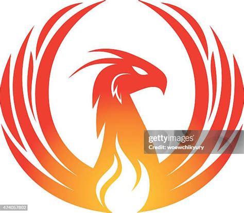 phoenix sign stock  high res pictures  images getty
