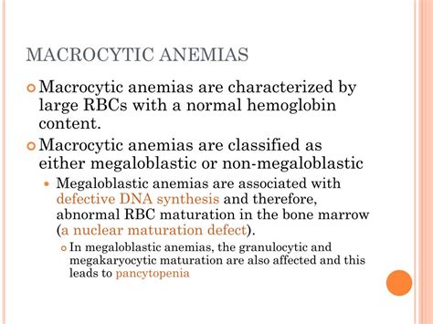 Ppt Macrocytic Anemias Powerpoint Presentation Free Download Id 6691472