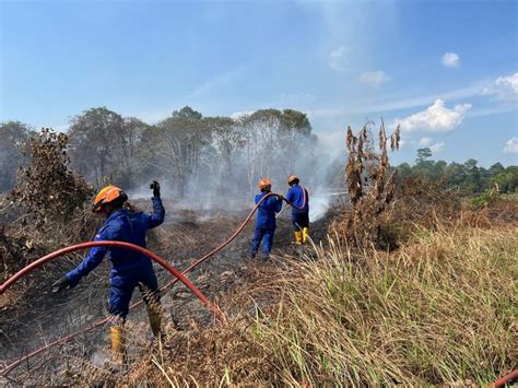 Kebakaran 500 Ekar Tanah Gambut Di Daro Dipadam Selepas Lima Hari