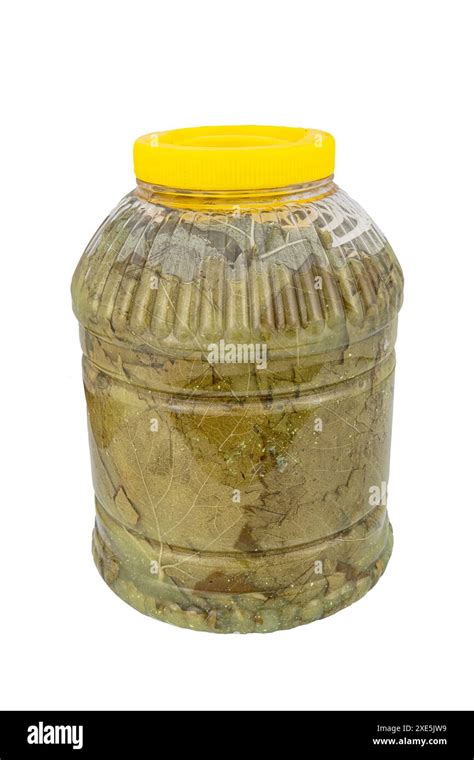Pickled Grape Leaves Grape Or Vine Leaves In Bottle Of Water For